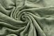 Плед Ardesto Flannel, 160х200см, 100% полиэстер, зеленый (ART0209SB)