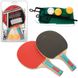 Набір для настільного тенісу Profi MS 0220 Сітка, ракетки, м'ячики