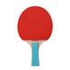 Набор для настольного тенниса Profi Сетка, ракетки, мячики (MS 0220)