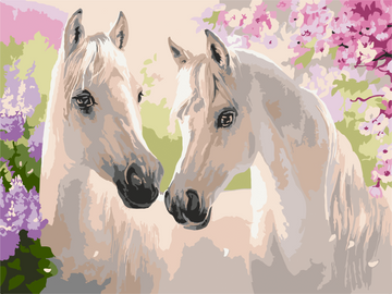 Картина за номерами "Пара коней" 30х40 см (11664-NN) 11664-NN фото