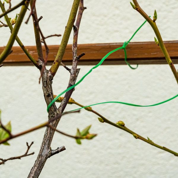 Проволока садовая Verto, ПВХ-оболочка, с обрезчиком, 0.15смх50м, зеленая 15G530 фото