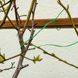 Проволока садовая Verto, ПВХ-оболочка, с обрезчиком, 0.15смх50м, зеленая