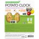 Набір для дослідів 4M Картопляний годинник (00-03275)