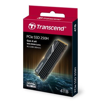 Накопичувач SSD Transcend M.2 4TB PCIe 4.0 MTE250H + радіатор (TS4TMTE250H) TS4TMTE250H фото