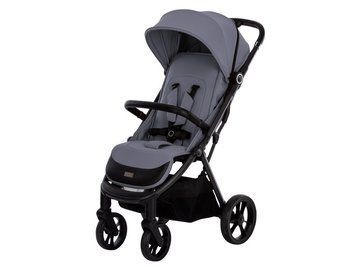 Коляска для дитини прогулянкова FreeON Dynamic, сірий 82573 фото
