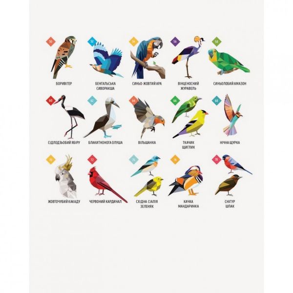 Книга-раскраска Зоометрия. Удивительные птицы Жорж (101048) 101048 фото