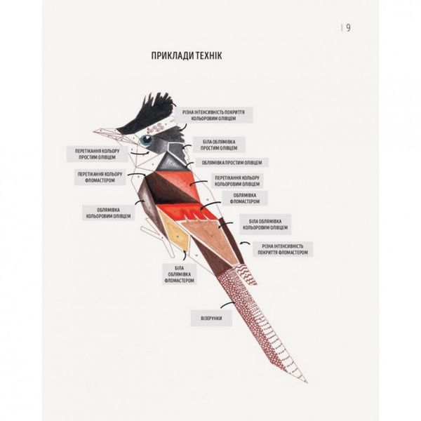 Книга-раскраска Зоометрия. Удивительные птицы Жорж (101048) 101048 фото