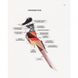 Книга-раскраска Зоометрия. Удивительные птицы Жорж (101048)