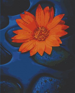 Картина за номерами. Art Craft "Квітка лотоса" 40х50 см 13124-AC 13124-AC фото