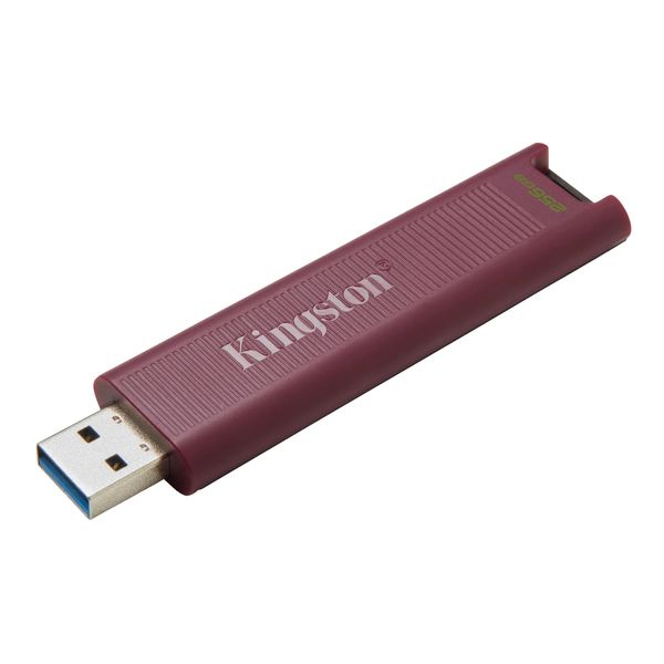 Накопичувач Kingston 256GB USB 3.2 Type-A Gen 2 DT Max (DTMAXA/256GB) DTMAXA/256GB фото