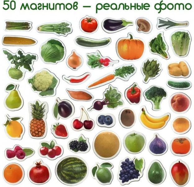 Набор магнитов Magdum "Фрукты и овощи" ML4031-15 EN ML4031-15 EN фото