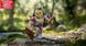 Ігрова колекційна фігурка Core Figures Lion Knight W4 Roblox ROG0113