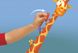 Электронная игра Splash Toys Жираф (ST30125)