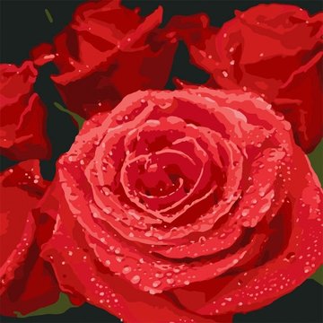 Картина за номерами. "Червоні троянди" 40 * 40см (KHO3089) KHO3089 фото