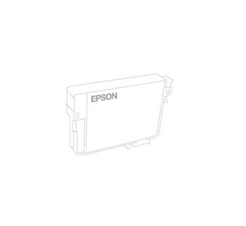 Картридж Epson UltraChrome GS2 SC-S30610 Black, 700мл (C13T688100) C13T688100 фото