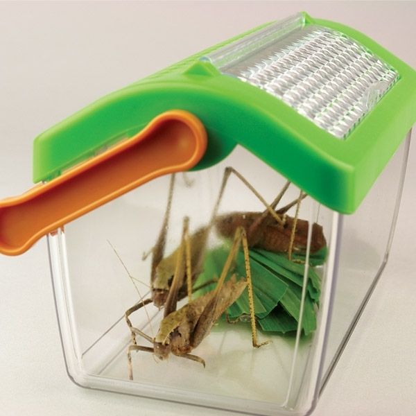 Контейнер-переноска для жуків Edu-Toys (BL136) BL136 фото