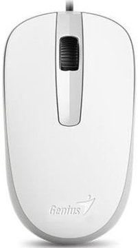 Мышь Genius DX-120 USB White (31010105102) 31010105102 фото