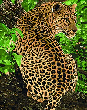 Картина за номерами. Тварини, птахи "Леопард" KHO4101, 40х50 см KHO4101 фото