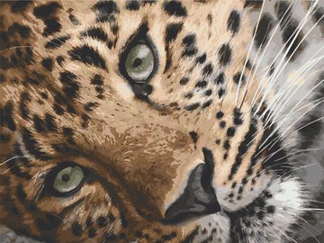 Картина за номерами. Art Craft "Леопард" 40х50 см 11635-AC 11635-AC фото