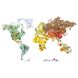 Игра-стикер Карта мира с животными Janod J02850
