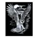 Набор для творчества ARTFOIL SILVER Сипуха Sequin Art SA0537