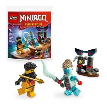 Конструктор LEGO recruitment Ninjago Арін проти Дракона: Битва (30700) 30700 фото