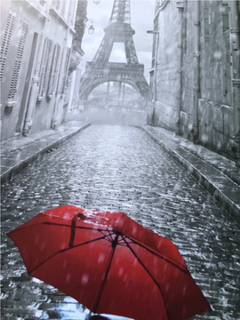 Картина по номерам. Art Craft "Зонтик в Париже" 40*50 см 11207-AC 11207-AC фото