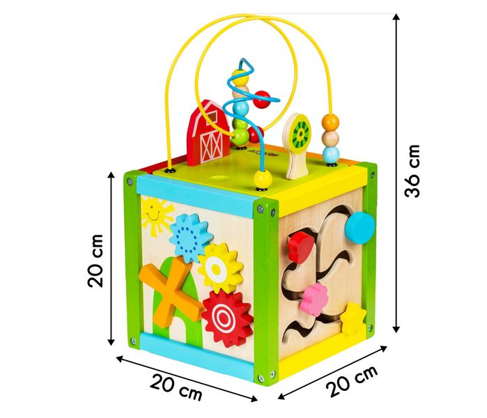 Дерев'яний бізікуб Ecotoys (1004) 1004 фото