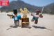Ігрова колекційна фігурка Game Packs Cannoneers: Battle for Jolly Island W6 Roblox ROB0266