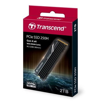 Накопичувач SSD Transcend M.2 2TB PCIe 4.0 MTE250H + радіатор (TS2TMTE250H) TS2TMTE250H фото