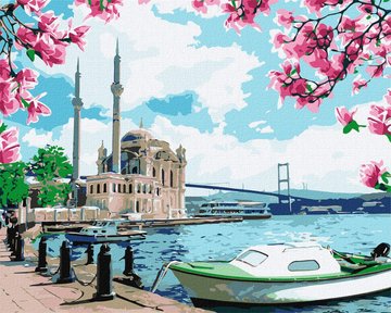 Картина за номерами. "Яскравий Стамбул" Ідейка 40х50 см Картина за номерами. "Яскравий Стамбул" Ідейка 40х50 см (KHO2757) KHO2757 фото