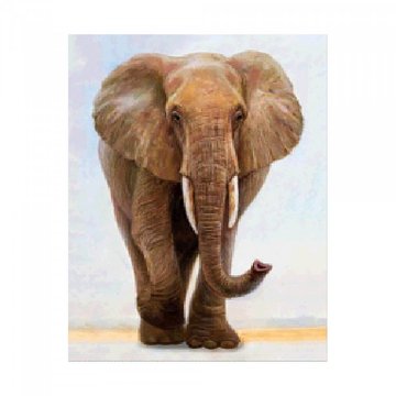 Алмазна мозаїка. Strateg "Величний слон" 40х50 см (FA40162) FA40162 фото