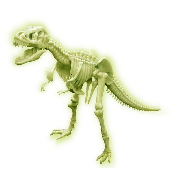 Світний скелет тиранозавра (набір для складання) 4M (00-03420) 00-03420 фото