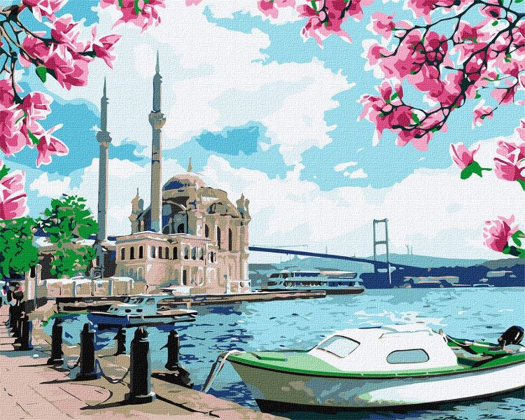 Картина по номерам. "Яркий Стамбул" Идейка 40х50 см Картина по номерам. "Яркий Стамбул" Идейка 40х50 см (KHO2757) KHO2757 фото