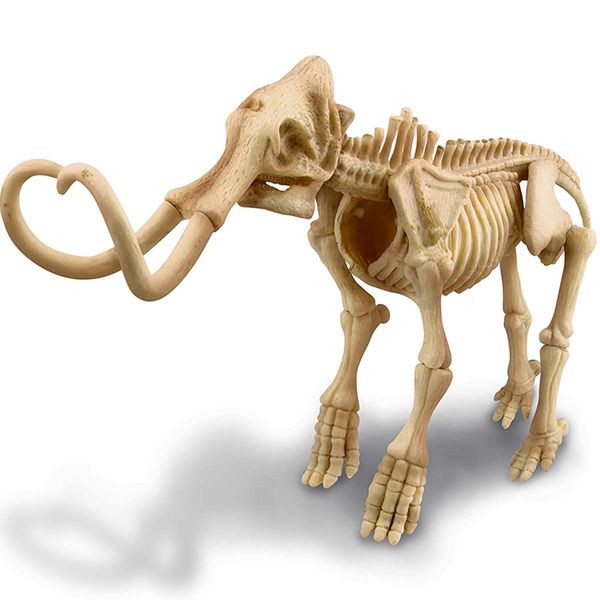Набір для розкопок 4M Скелет мамонта (00-03236) 00-03236 фото