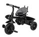 Трехколесный детский велосипед Free2Move Sport Black Grey (44169)