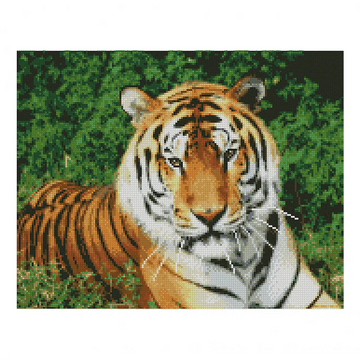 Алмазна мозаїка. Strateg "Погляд тигра" 40х50 см (FA10046) FA10046 фото