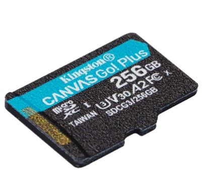 Карта пам'яті Kingston microSD 256GB C10 UHS-I U3 A2 R170/W90MB/s (SDCG3/256GBSP) SDCG3/256GBSP фото
