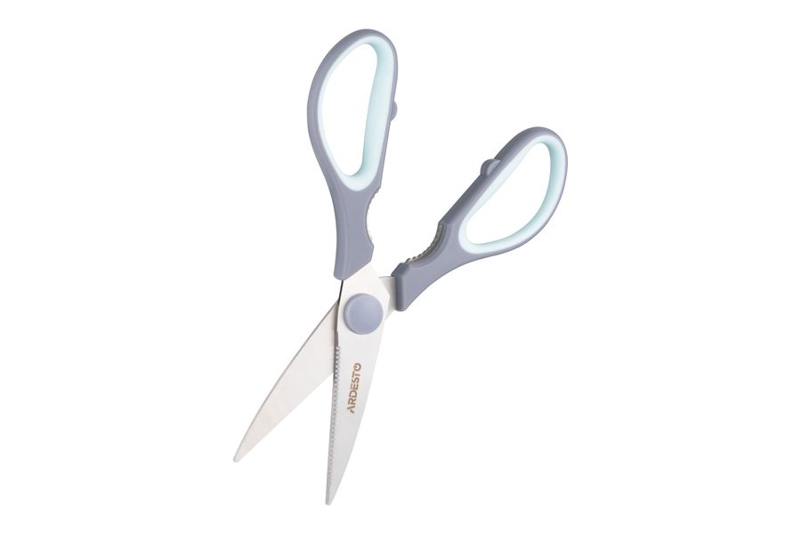 Ножиці кухонні Ardesto Fresh 21 см, сірий/блакитний, нерж. сталь, пластик AR2121GT фото