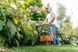 Триммер садовый Bosch EasyGrassCut 26, 280 Вт, 26 см, 1.9 кг, шпуля 1.6мм x 4м 0.600.8C1.J01 - Уцінка - Уцінка
