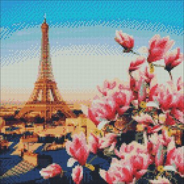 Алмазна мозаїка "Паризькі магнолії" Ідейка AMO7178 40х40 см AMO7178 фото