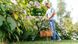 Триммер садовый Bosch EasyGrassCut 23, 280 Вт, 23 см, 1.9 кг, шпуля 1.6мм x 4м 0.600.8C1.H01