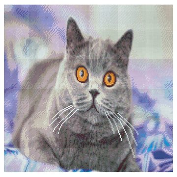 Алмазна мозаїка "Зацікавлений сірий кіт" Strateg 50х50 см (GA0004) GA0004 фото