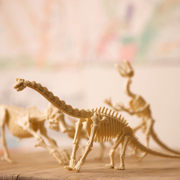 Набор для раскопок 4M Скелет тираннозавра (00-03221) 00-03221 фото