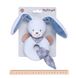 Брязкальце-кільце кролик Бібу Nattou 321167