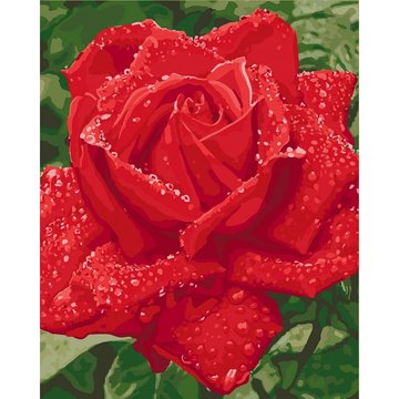 Картина за номерами. "Ніжність троянди" , 40х50 см (KHO3045) KHO3045 фото