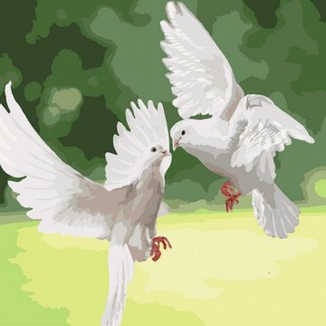 Картина по номерам."Белоснежные голуби" , 40х40 см (KHO4149) KHO4149 фото