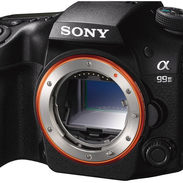 Цифр. фотокамера дзеркальна Sony Alpha A99M2 Body (ILCA99M2.CEC) ILCA99M2.CEC фото