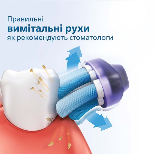 Набір електричних зубних щіток PHILIPS 3100 series (HX3675/13) HX3675/13 фото