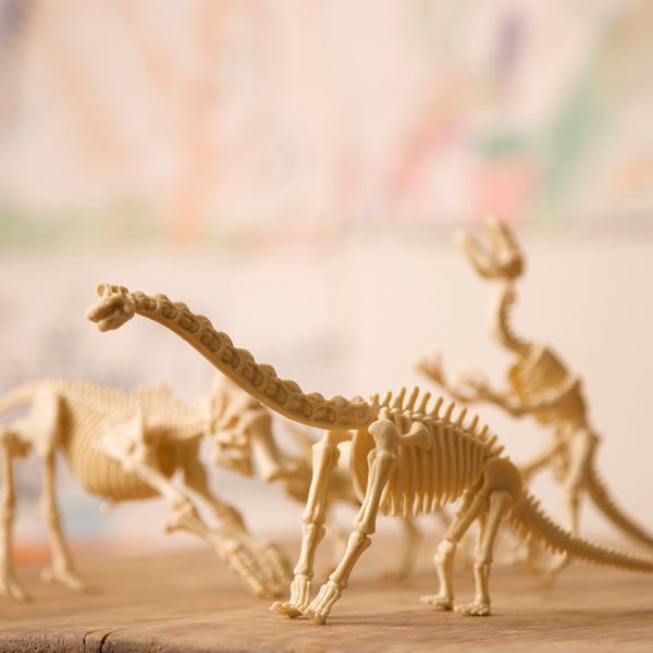Набір для розкопок 4M Скелет стегозавра (00-03229) 00-03229 фото